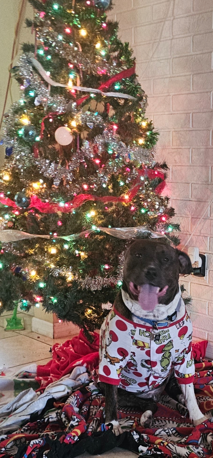 Roscoe